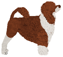 Dragosani SZALONOOKI — “Moody”