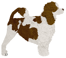 Dragosani WSZYSTKOWIEDZĄCA — “Daphne”