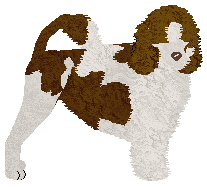 Profile image of Dragosani WSZYSTKOWIEDZĄCA