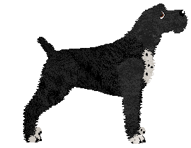 Coventry's Oak Nymph — “Eurydice”