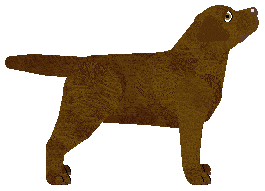 Aithneth's Chocolate Lava — “Mix”