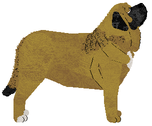 Brandoux's Crème brûlée — “Krem”