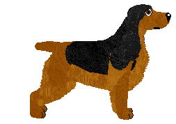 Dragosani NOC KUPAŁY — “Tischka”