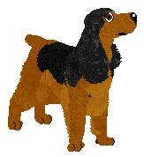 Dragosani NOC KUPAŁY — “Tischka”