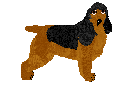 Profile image of Dragosani NOC KUPAŁY