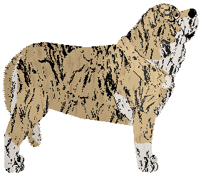 Brandoux's Vanilla Éclair — “Ala”