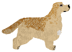 Dragosani NIEKONWENCJONALNY — “Zavi”