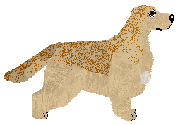 Dragosani NIEKONWENCJONALNY — “Zavi”