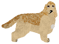 Profile image of Dragosani NIEKONWENCJONALNY