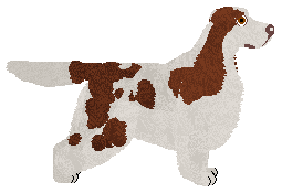 Dragosani SZEP APATI — “Zoria”