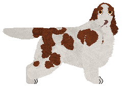 Profile image of Dragosani SZEP APATI