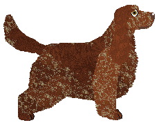 Deithwen Kierowca Pojazdu Opancerzonego — “Pluto”