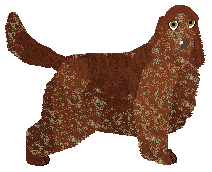 Profile image of Deithwen Kierowca Pojazdu Opancerzonego