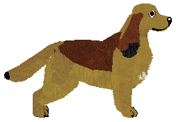 Dragosani NIESPOKOJNA DUSZA — “Toudi”