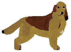 Profile image of Dragosani NIESPOKOJNA DUSZA