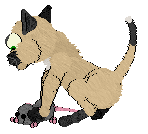 Pendragon's Knight Of The Oblong Table — “Sam”