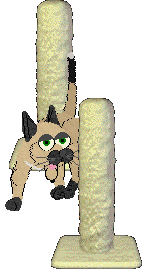 Pendragon's Knight Of The Oblong Table — “Sam”