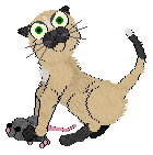 Pendragon's Knight Of The Oblong Table — “Sam”