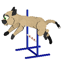 Pendragon's Knight Of The Oblong Table — “Sam”