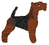 Hipertrofia's TYLKO TY — “Tyś”