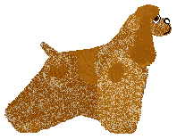 Weel's RUDY RYDZ — “Rydz”