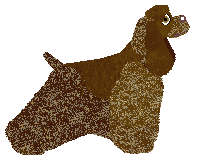 Weel's CZEKOLADOWE LODY — “Choco”