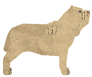 Puerto Negro's CEDRON Vor Dush — “Cedron”