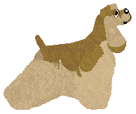 Bermuda Another Mission — “Inny”