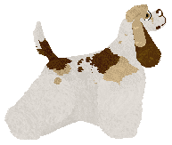 Bermuda Another Time — “Tania”