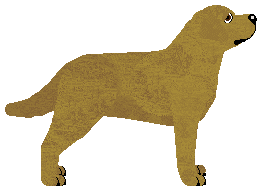 Profile image of MORPHEE's Isztar