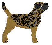 Aura's Something From Nothing — “Grady”