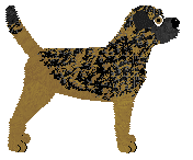 Aura's Something From Nothing — “Grady”