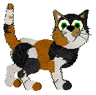 Pendragon's What Patches — “Marty”