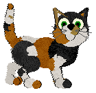 Pendragon's What Patches — “Marty”