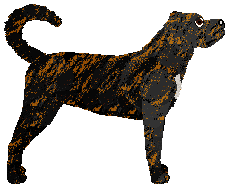 BEST AND THE ONLY ONE of Nicotine — “Chrupek”