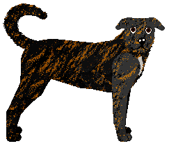 Profile image of BEST AND THE ONLY ONE of Nicotine