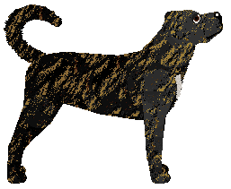 PIĘKNA I NIEDOSTĘPNA of Nicotine — “Pity”