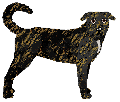 Profile image of PIĘKNA I NIEDOSTĘPNA of Nicotine