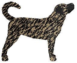 DRIVER PICKS THE MUSIC of Nicotine — “Driver”