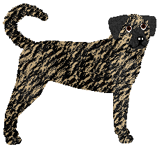 Profile image of DRIVER PICKS THE MUSIC of Nicotine