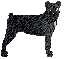 Profile image of YOUNG VOLCANOES of Nicotine