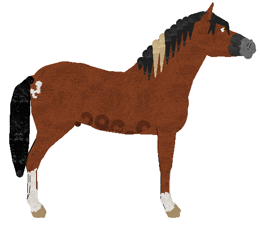 Sablewood's Hello My Old Lover @ Mockingbird — “Tonto”