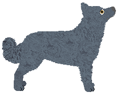 CHANGIN' IN of The Grave — “Janice”