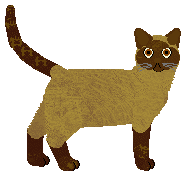 Pins'n'Needles' EASY TO BE SLEAZY — “Sleazy”