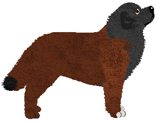 Beginner's Luck at Unlettered — “Felix”