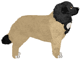 Nautical Dawn at Unlettered — “Aurora”