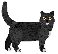 Monarch's Disputed Reign — “Matilda”