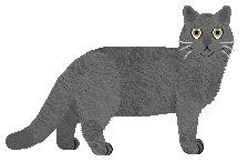 Monarch's Nine Day Rule — “Jane”