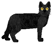 Folklore Out of My Mind on Sunday — “Panther”