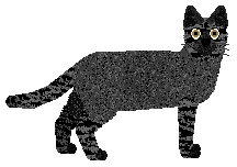 Folklore One Day at a Time — “Wildcat”